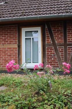 Foto - andere in Lachendorf zur Miete