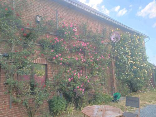 Foto - Einfamilienhaus in Schleiden zur Miete