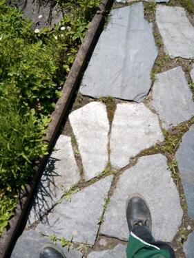 Foto - Grundst&uuml;ck in Leipzig zur Miete