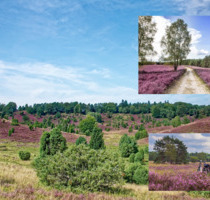 Betreutes Wohnen in Faßberg direkt in der Lüneburger Heide
