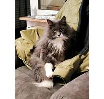 3-Zimmer Whng - 1.200,00&nbsp;EUR Kaltmiete, ca.&nbsp; 79,00&nbsp;m&sup2; in Altenholz (PLZ: 24161)