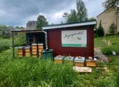 Foto - Gemeinschaftsgarten Angergärten Mölkau
