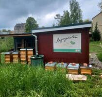 Gemeinschaftsgarten Angergärten Mölkau - Leipzig Ost