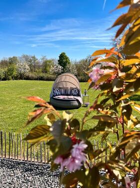 Foto - Urlaub in der Eifel mit Hund - 85,00&nbsp;EUR Kaltmiete,