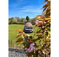 Urlaub in der Eifel mit Hund - 85,00&nbsp;EUR Kaltmiete, in Pronsfeld (PLZ: 54597)