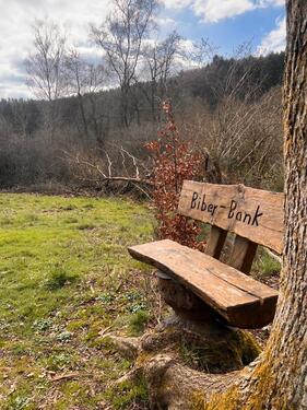 Foto - andere in Pronsfeld zur Miete