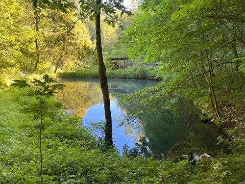 Foto - Beteiligung an Nutzungsgemeinschaft: Wald mit Quellwasser-Teich