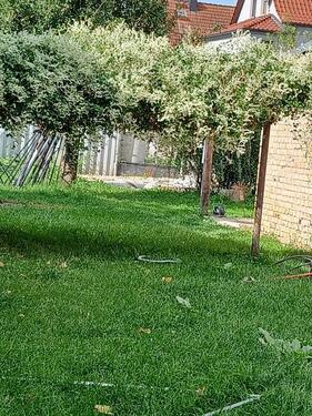 Foto - 5 Zimmer Einfamilienhaus zum Kaufen in Rackwitz