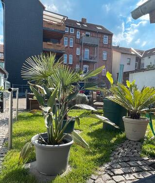 Foto - 4?Zimmer Maisionette Wohnung 125 qm