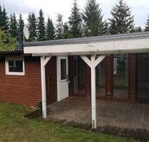 Gemütliches Haus (49qm) mit großem Grundstück zu vermieten - Winsen (Aller)