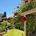 Foto - 