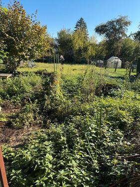 Foto - Einfamilienhaus in Hadamar