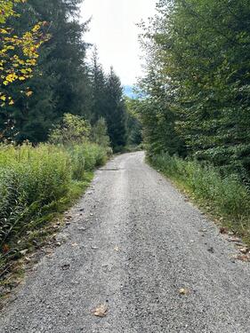 Foto - Ökopunkte Lkr. STA - 4,00&nbsp;EUR Kaltmiete, ca.&nbsp; 0,00&nbsp;m&sup2;