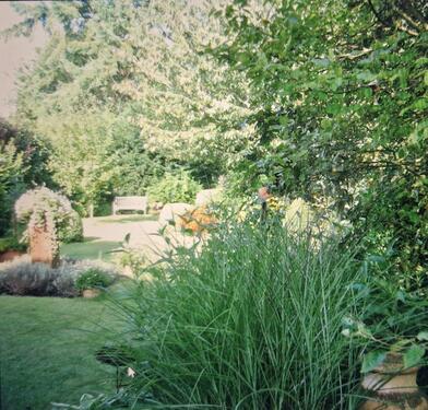 Foto - Einfamilienhaus in Coesfeld zur Miete