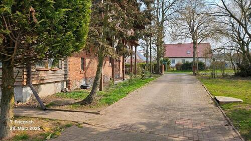 Foto - Einfamilienhaus zum Kaufen in Müllrose