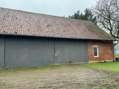 Foto - andere in Telgte