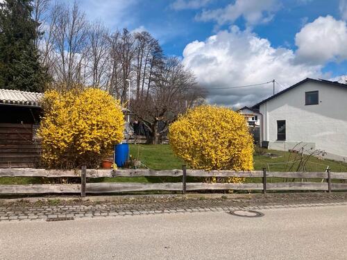 Foto - Grundst&uuml;ck zur Miete in Großkarolinenfeld