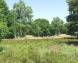 Foto - Acker 0.9 ha Wiese 0.5 ha Erding Inning am Holz 13990 m²