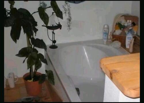 Foto - Einfamilienhaus in Schleswig zur Miete