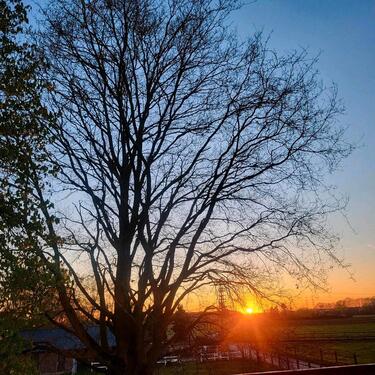 Foto - 5 Zimmer Terrassenwohnung in Wesel