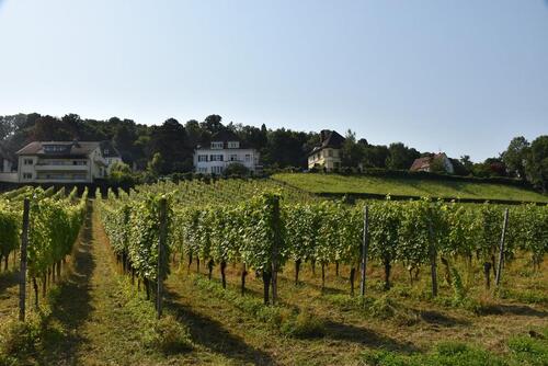 Foto - Etagenwohnung in Freiburg im Breisgau