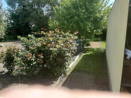 Foto - 5 Zimmer Einfamilienhaus in Köthen (Anhalt)