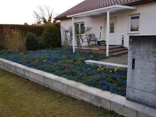 Foto - 4 Zimmer Einfamilienhaus zum Kaufen in Storkow (Mark)