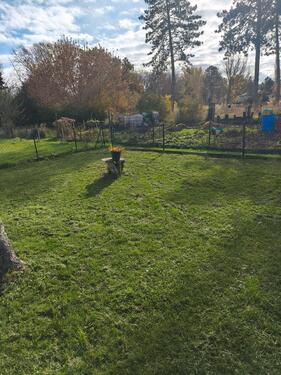 Foto - Grundstück in Seegebiet Mansfelder Land zur Miete