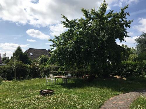 Foto - andere in Marburg zur Miete