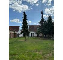 Ruhiges Haus inmitten des Naturpark Fläming - Bräsen (Coswig) - Coswig (Anhalt) Serno