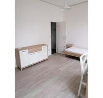 Möbliertes Appartement, Nähe Nationaltheater - Mannheim Innenstadt