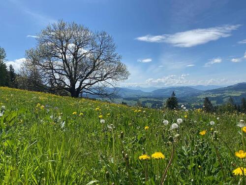 Foto - andere zur Miete in Oberstaufen