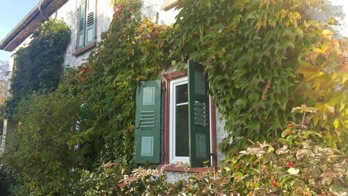 Foto - 5 Zimmer Einfamilienhaus in Gießen