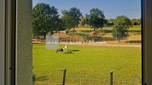 Foto - 2 Zimmer Etagenwohnung zur Miete in Groß Kreutz (Havel)