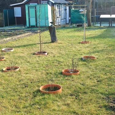 Foto - Grundst&uuml;ck zur Miete in Gotha