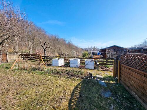 Foto - Garten in Chemnitz am Stadtpark ( Kapellenberg) abzugeben