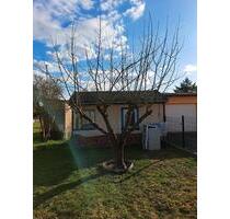 Gartengrundstück - 500,00&nbsp;EUR Kaltmiete, ca.&nbsp; 0,00&nbsp;m&sup2; in Werther (PLZ: 99735)