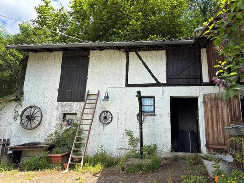 Foto - Haus mit Gemüsegarten und 2,4ha Wiesen für Naturverbundene