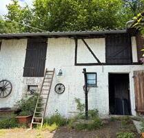 Haus mit Gemüsegarten und 2,4ha Wiesen für Naturverbundene - Bensheim