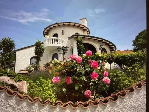 Foto - Traum Finca in Dattenberg Linz am Rhein