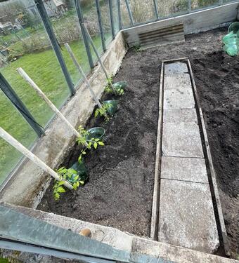 Foto - Grundst&uuml;ck in Schwerin zur Miete