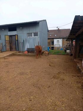 Foto - 6 Zimmer Bauernhaus, Landhaus zum Kaufen in Lebach