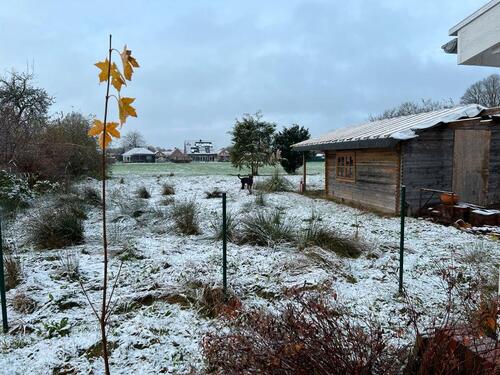 Foto - Grundstück in Moormerland