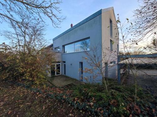 Foto - Einfamilienhaus zum Kaufen in Steinwenden