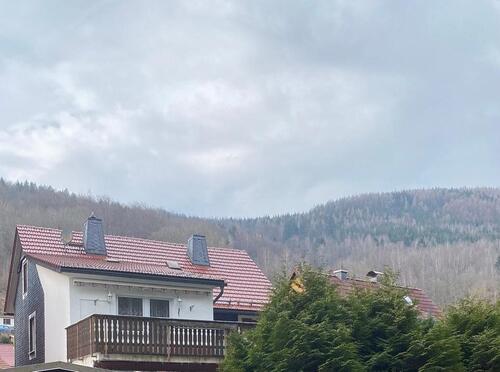 Foto - Mehrfamilienhaus, Wohnhaus in Geratal zum Kaufen