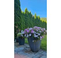 4 Zimmerwohnung - 800,00 EUR Kaltmiete, in Geislingen an der Steige (PLZ: 73312)