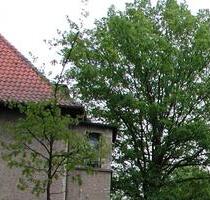 Hohen Neuendorf: 2-Zimmer DG-Wohnung teilmöbliert zu vermieten