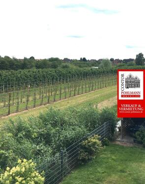 Foto - Etagenwohnung zur Miete in Grünendeich