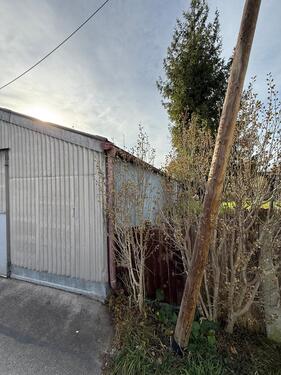 Foto - andere in Moosach