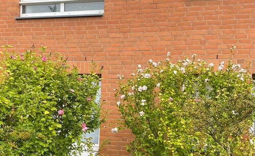 Foto - Barrierefreie EG Whg.inklTiefgarageTerrasseGart1.PreisArchitek
